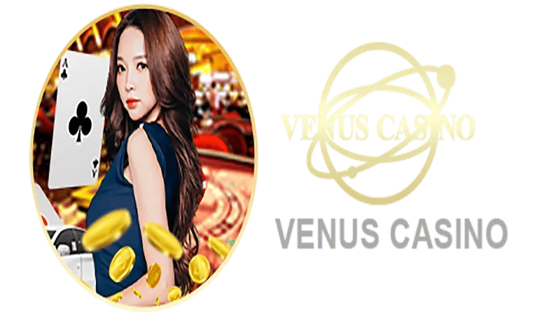 88CASINO Informações básicas sobre o saguão do cassino Venus